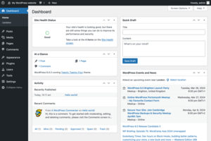 A screenshot of the WordPRess 6.4 Dashboard.