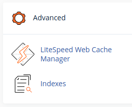 A screenshot of the 'Advanced' section within the cPanel Dashboard depicting button to navigate to the LiteSpeed Web Cache Manager.