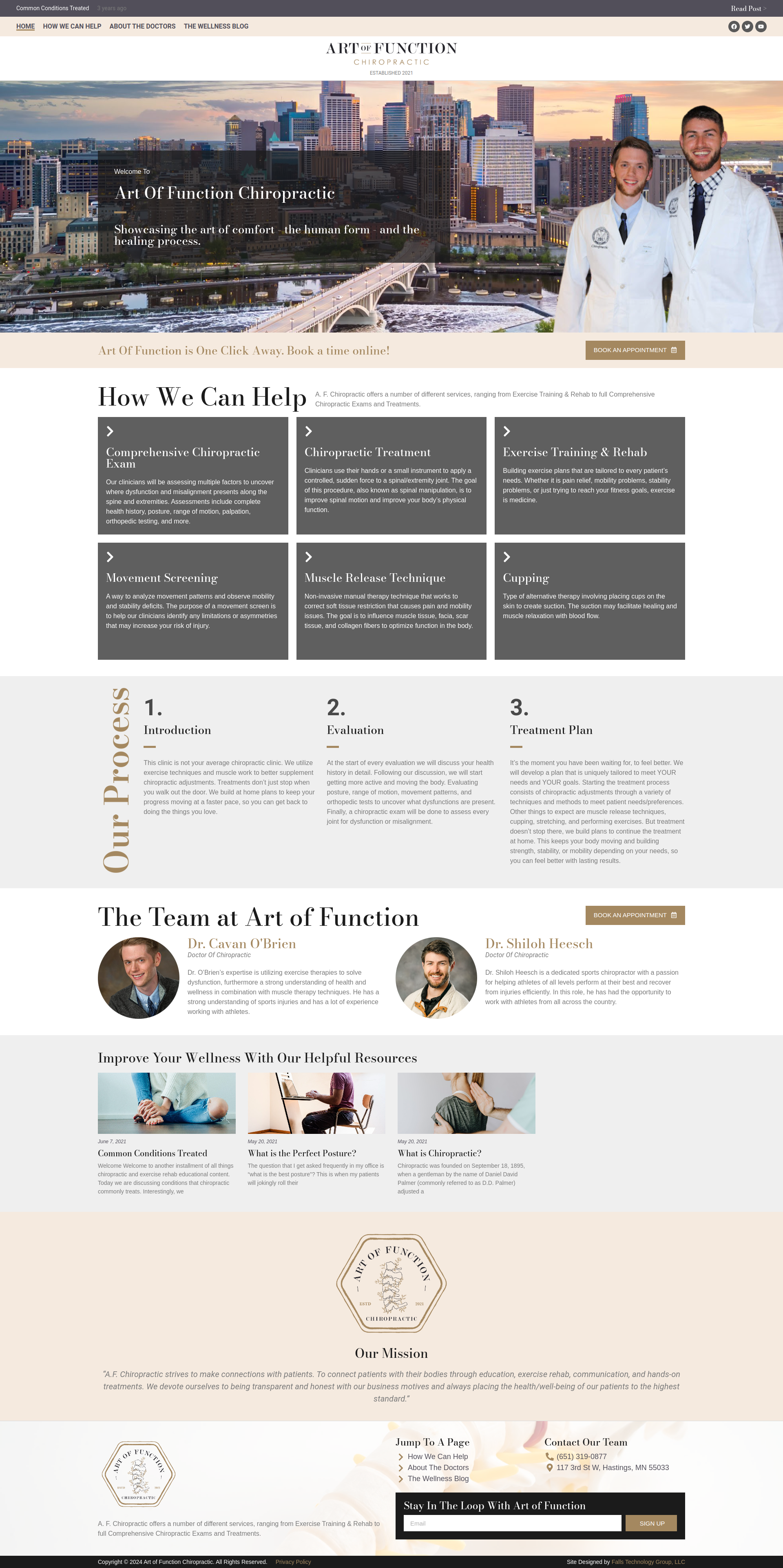 Art of Function Chiropractic website offering treatments, resources, and expert team bios for health and wellness. Book an appointment online.